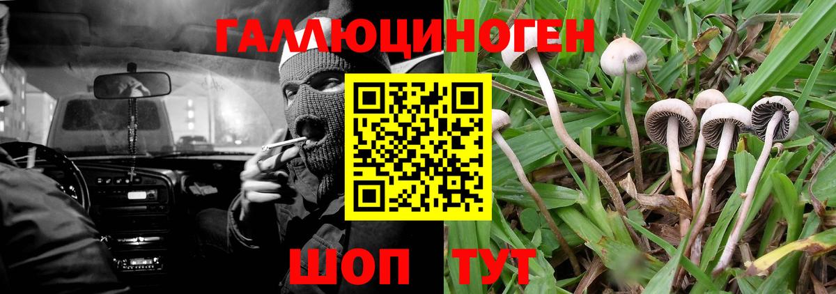 Саратов  магазин  наркотиков  Вход с VPN  Галлюциногенные грибы Psilocybe 