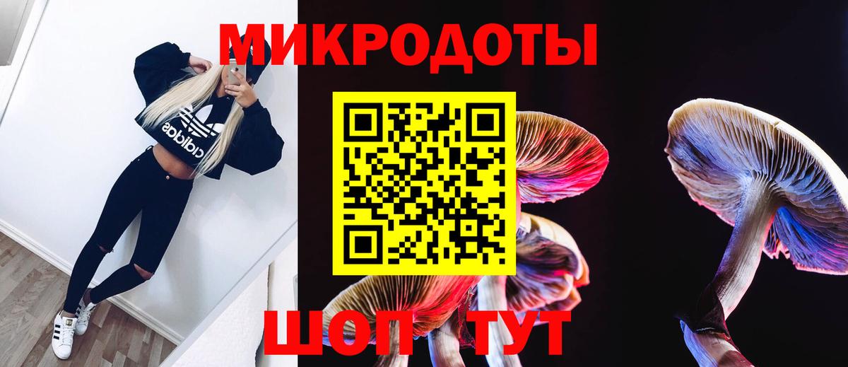 Галлюциногенные грибы мухоморы Саратов